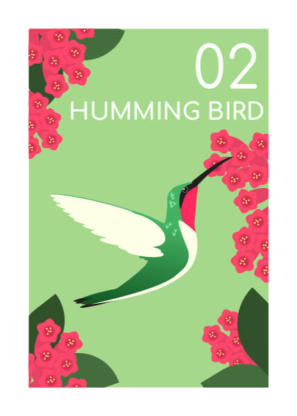 humming bird humming bird