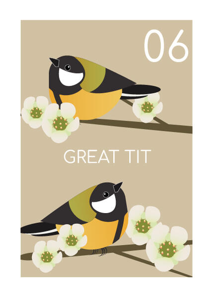 great tit