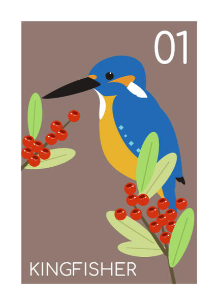 kingfisher kingfisher