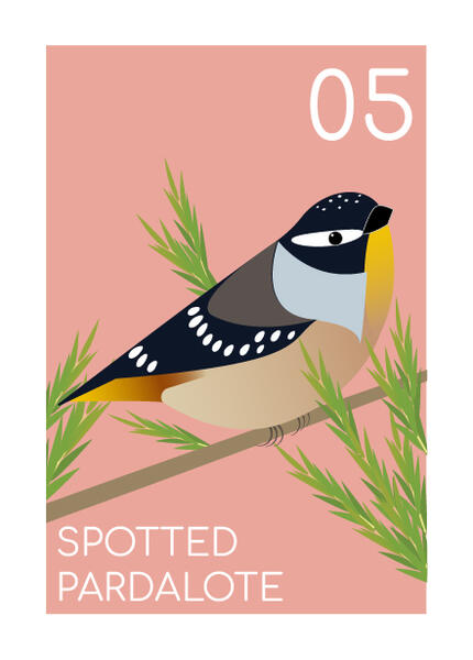 spotted padarlote spotted padarlote