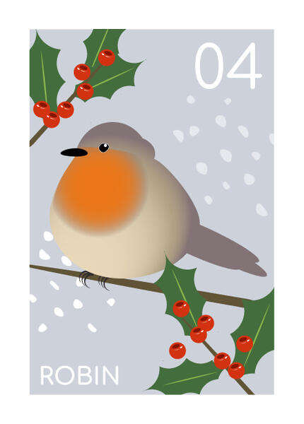 robin robin